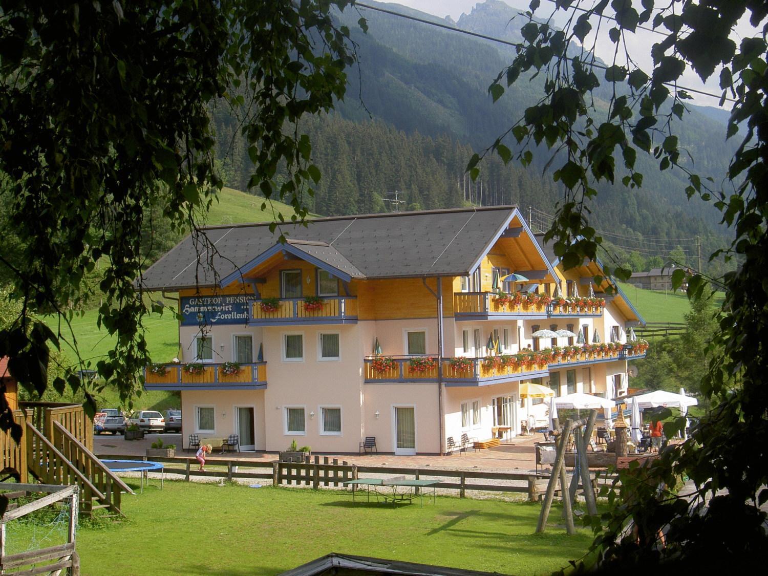 Hotel Hammerwirt - Forellenhof ウンタータウエルン エクステリア 写真